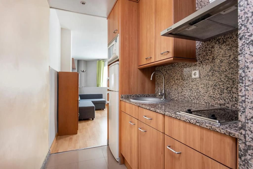 Apartments Sata Park Guell Area - photo 50