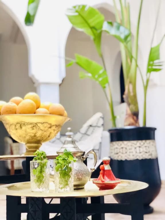 Riad Chafia - photo 10