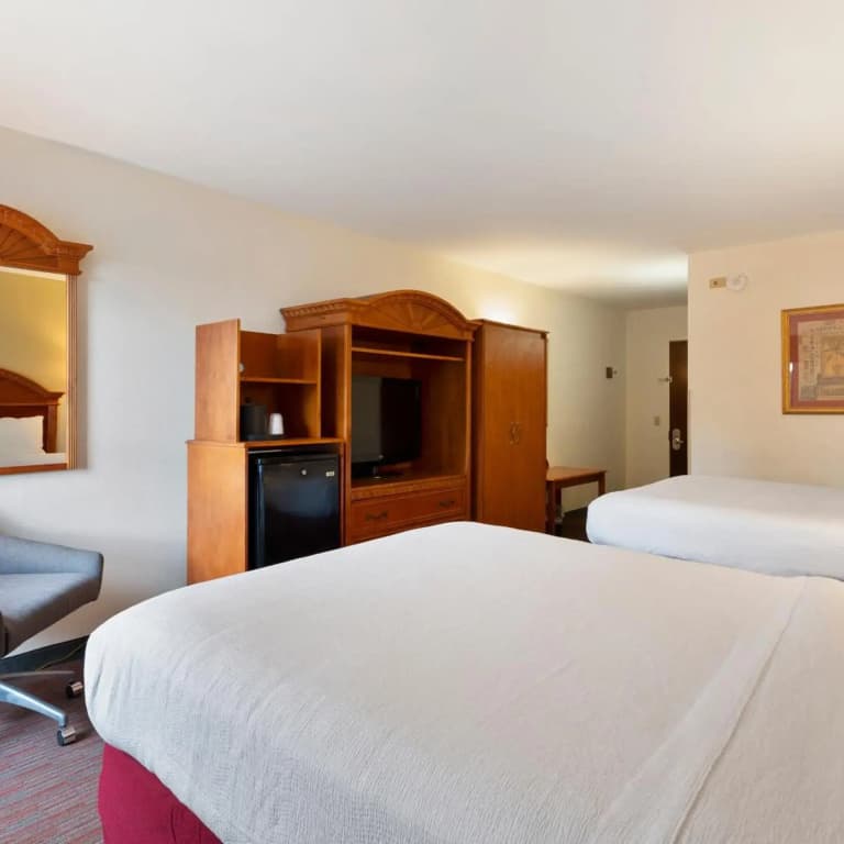 Orlando Palms Hotel - photo 35
