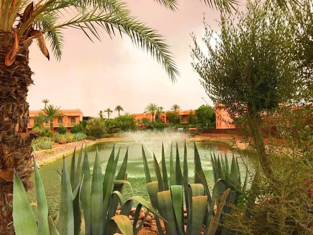Beautiful apartment with Pool Palmeraie - photo 17