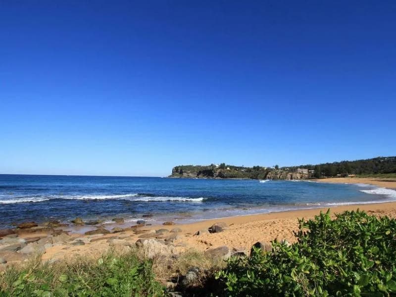 Whale Beach Bed & Breakfast - photo 11