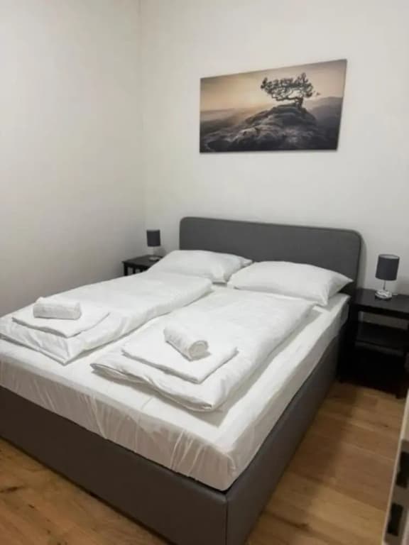 City Vienna Hirsch Apartment - photo 1