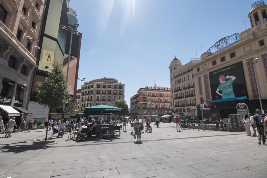Petit Palace Plaza España - photo 18