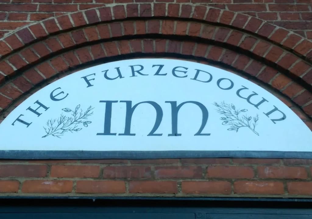 The Furzedown - photo 18