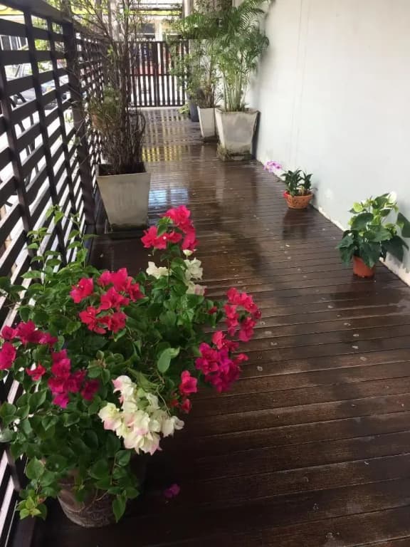 My Living Place Samui - photo 21