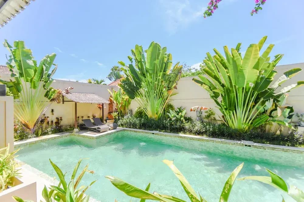 Villa Flamboyan - photo 16