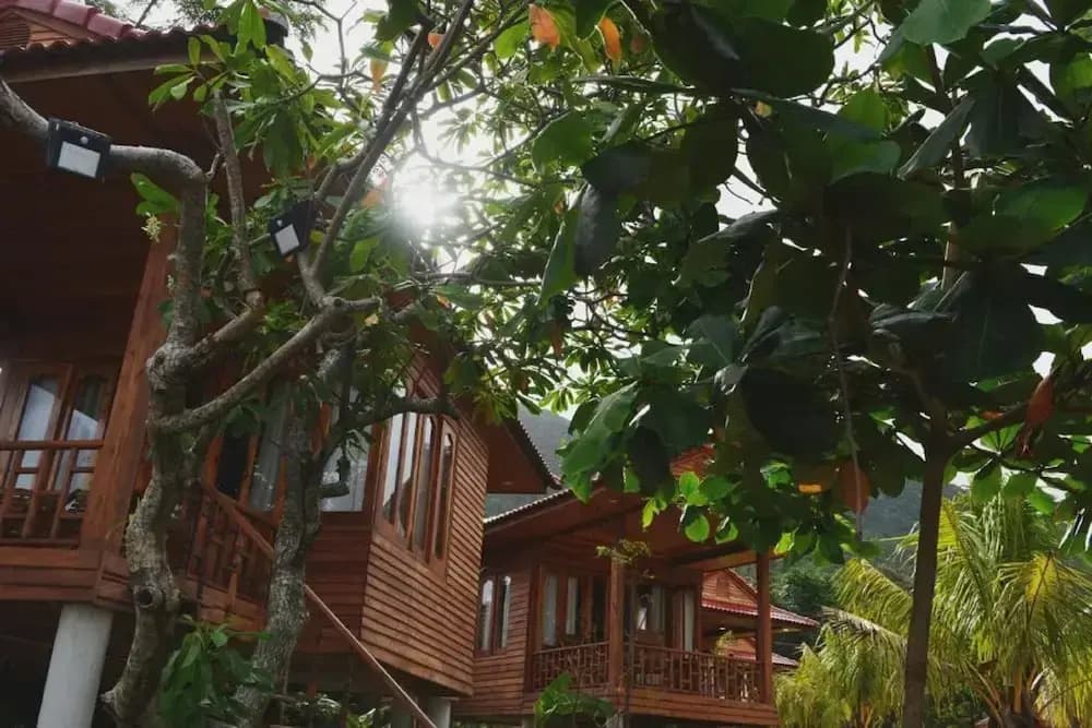 Cay Sao Phu Quoc - photo 1