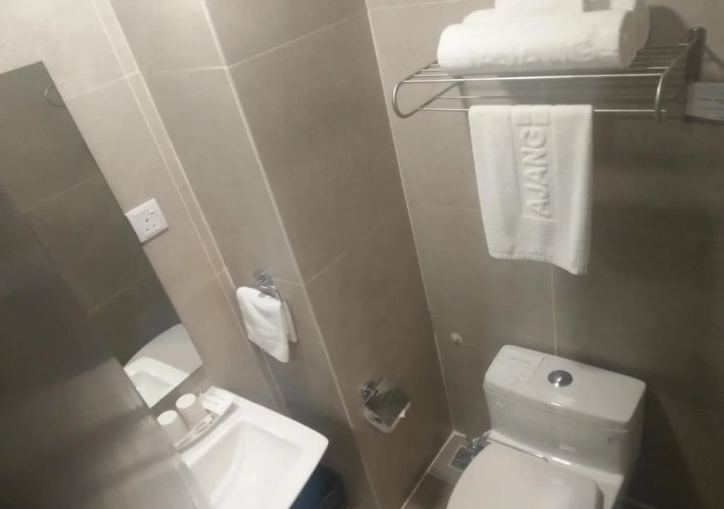 Ajang Hotel - photo 9