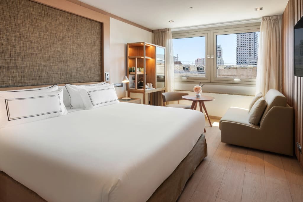 Melia Madrid Princesa - photo 2