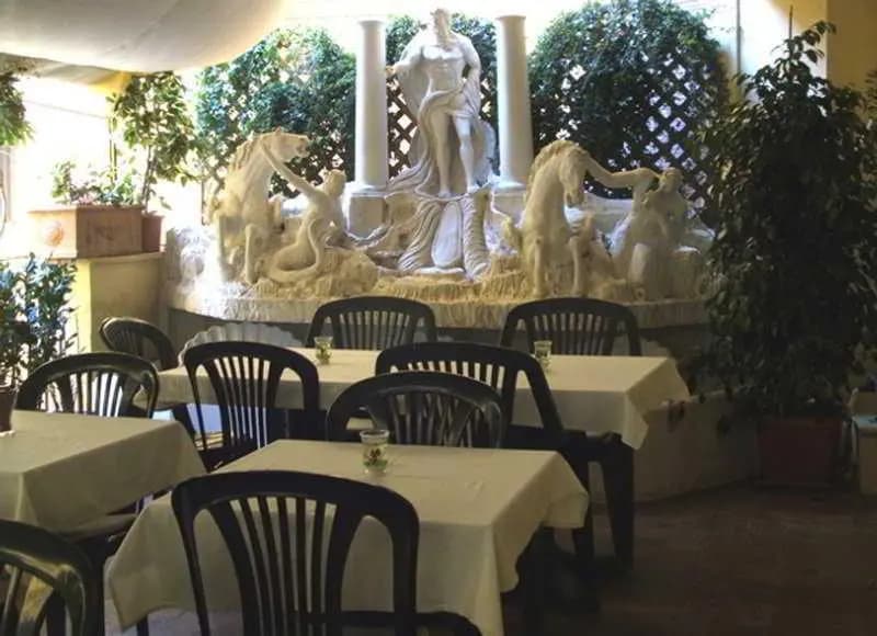 Adler - photo 12
