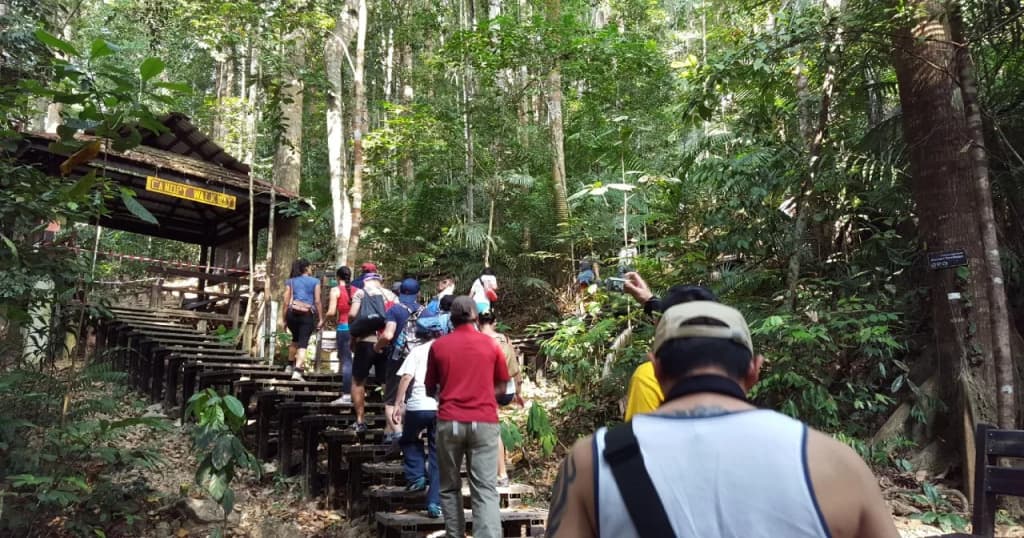 Han Rainforest Resort - photo 17
