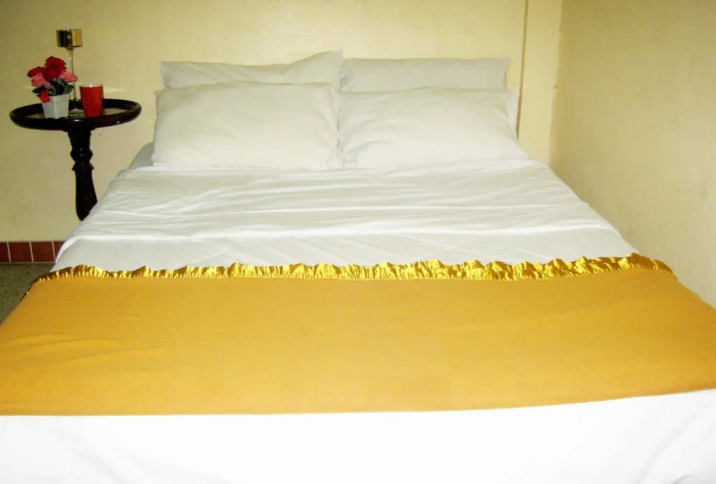 JJ Guest House - photo 3