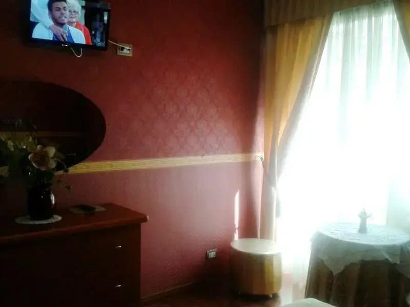 Petite Maison - photo 6