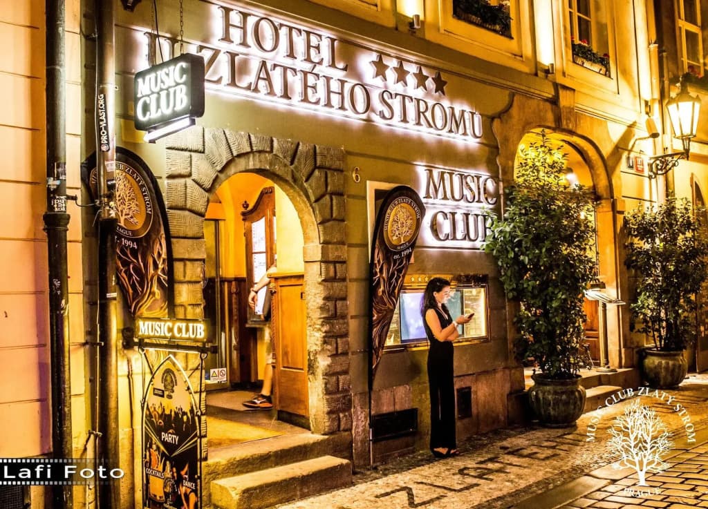 Hotel U Zlatého Stromu Prague by BHG - photo 29