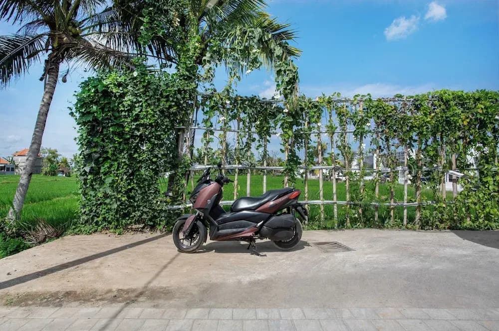 Green Flow Villas Complex Ubud - photo 27