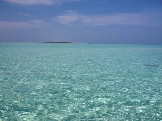 Askani Thulusdhoo Guesthouse - photo 7