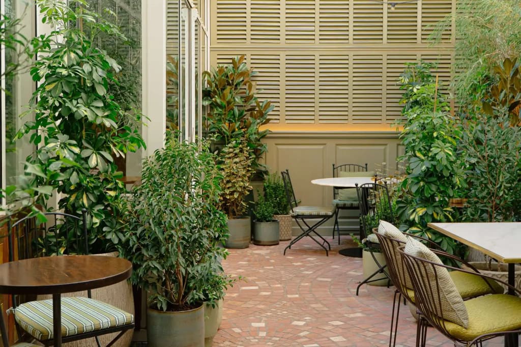 Hotel Pulitzer Paris - photo 21
