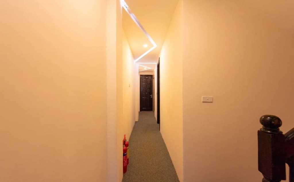 Ibiz Hotel - photo 9