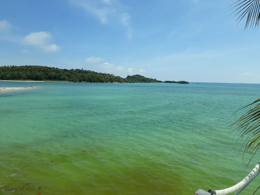 Papillon Resort - photo 28