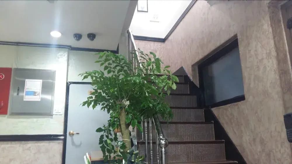 KIMSTAY - photo 13
