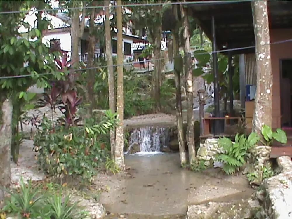 Nature Park Resort - photo 11