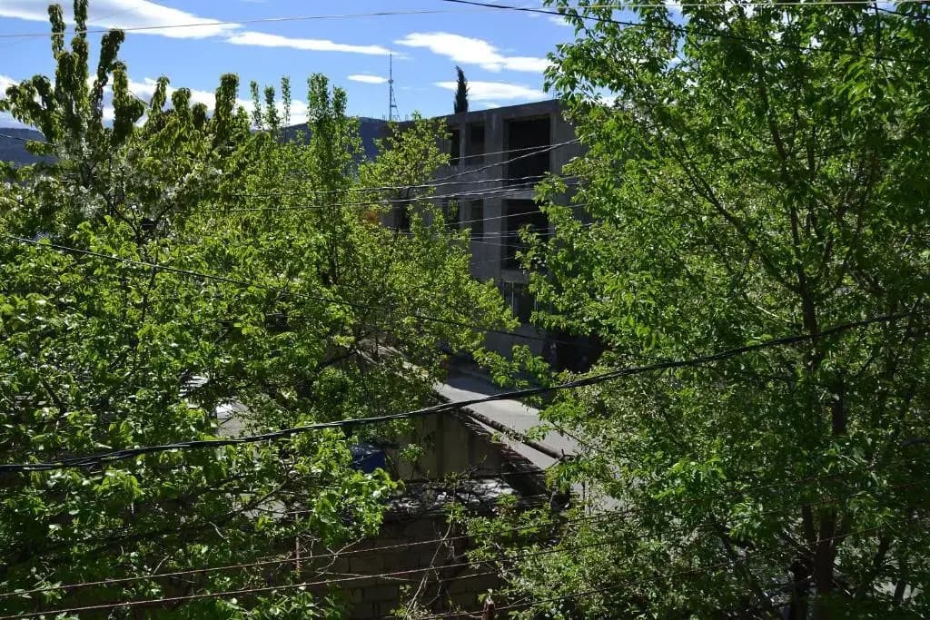 Apartament Elene - photo 9