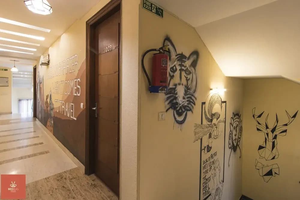 BedBug Hostel by Madpackers - photo 12