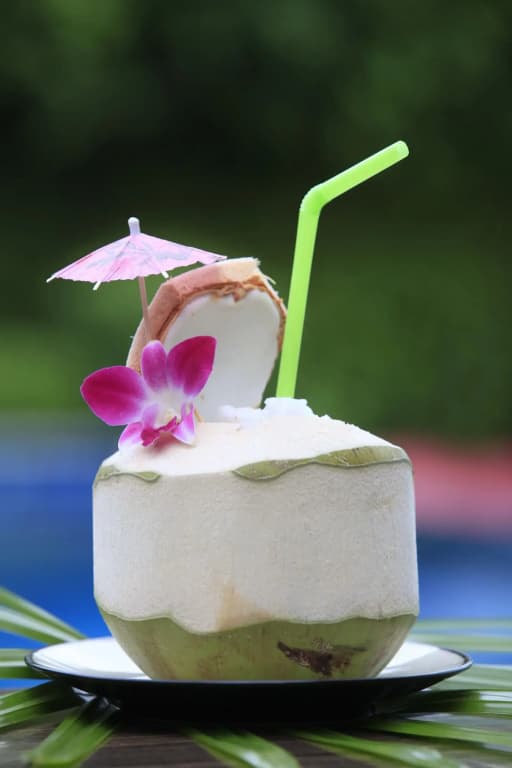 Palm Coco Mantra - photo 36