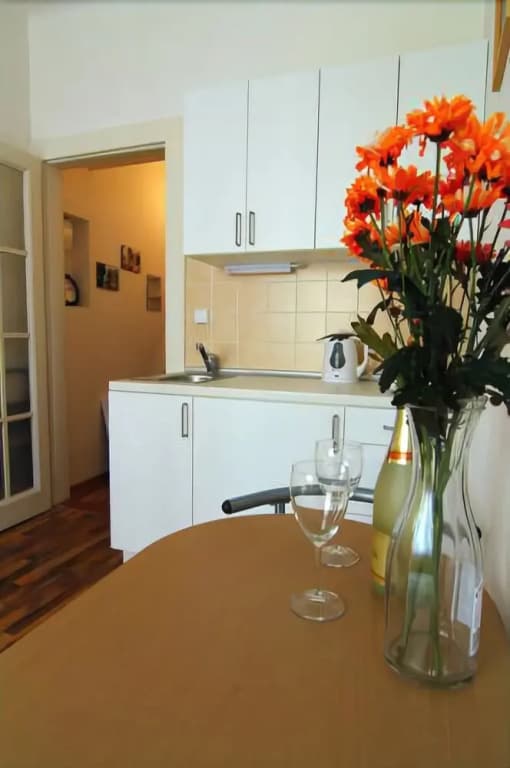 Studio near Art Gallery - photo 13