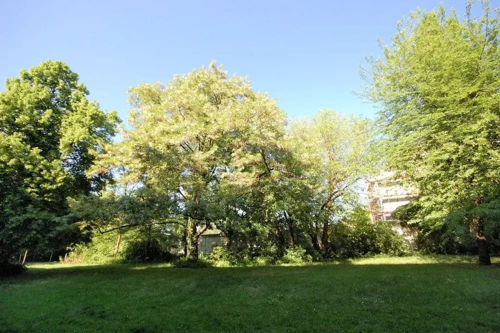 Apartment East Side - Pflugstrasse 4 - photo 5
