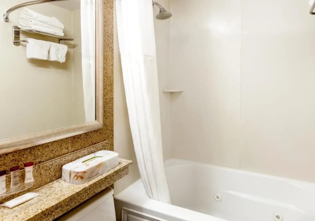 Royal Stay Hotel - photo 8