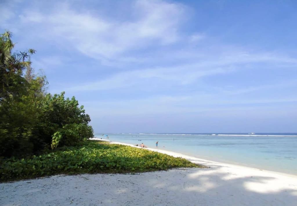 Starry Beach Inn Hotel - photo 25