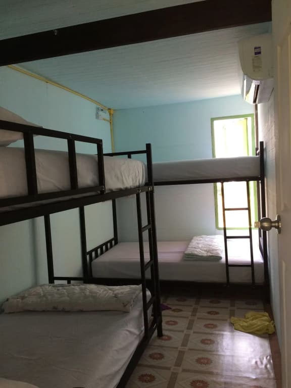 Ozone Hostel - photo 3