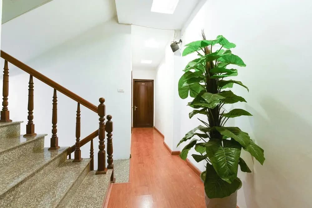 OYO 208 Arowana Hotel - photo 14