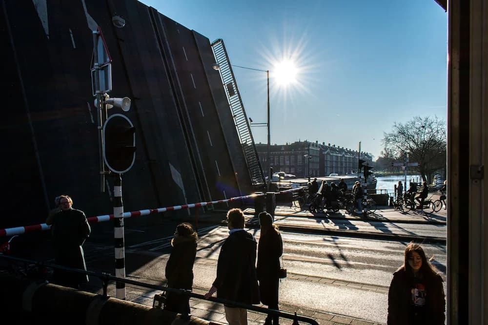 SWEETS - Willemsbrug - photo 13
