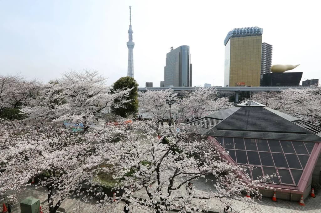 Dormy Inn Express Asakusa Hot Spring - photo 17