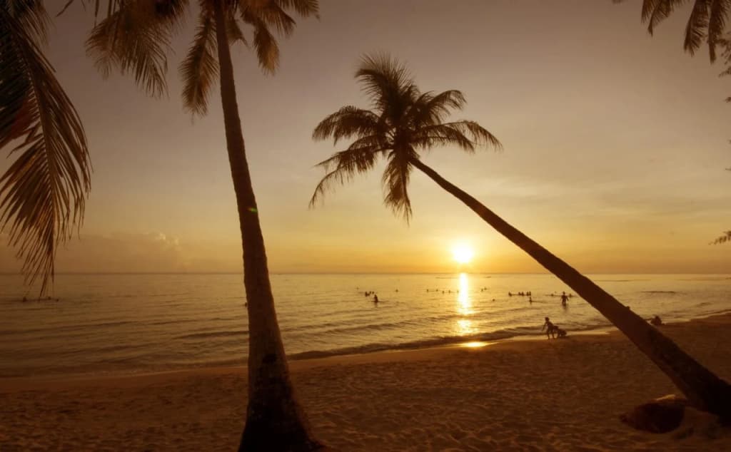 Paradiso Phu Quoc Resort - photo 14