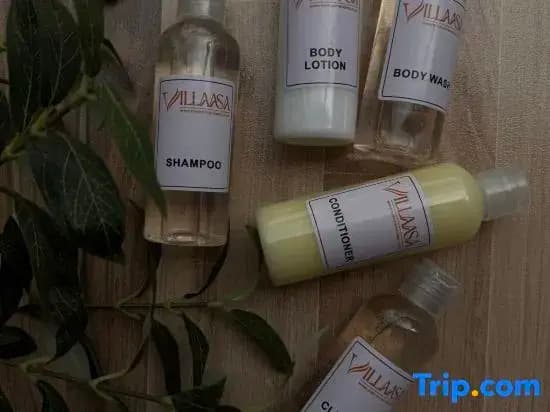 Villaasa - photo 10
