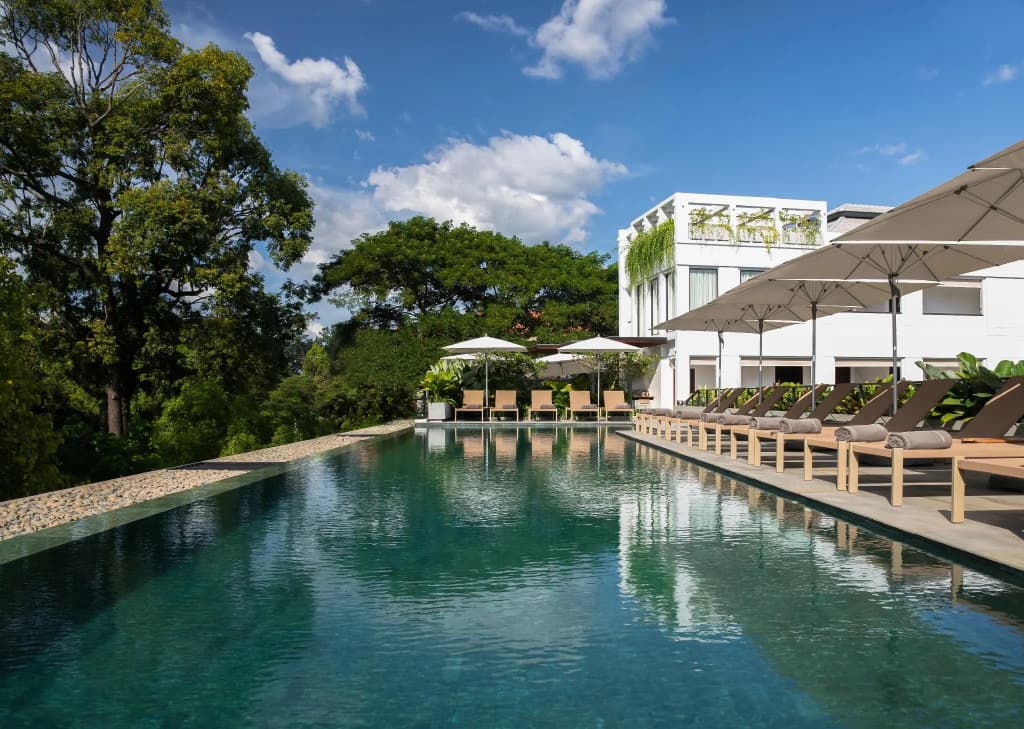 Treeline Urban Resort - photo 21