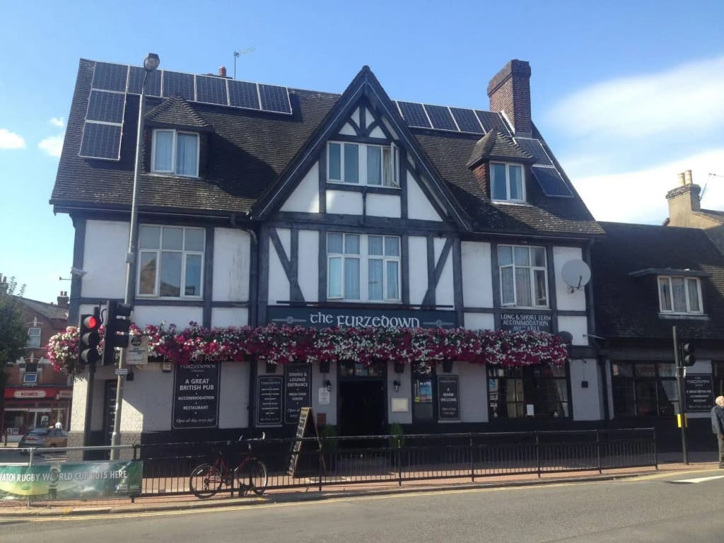 The Furzedown - photo 15