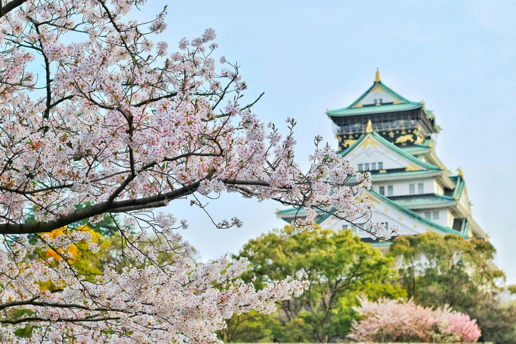 RIHGA Royal Hotel Osaka, Vignette Collection by IHG - photo 43