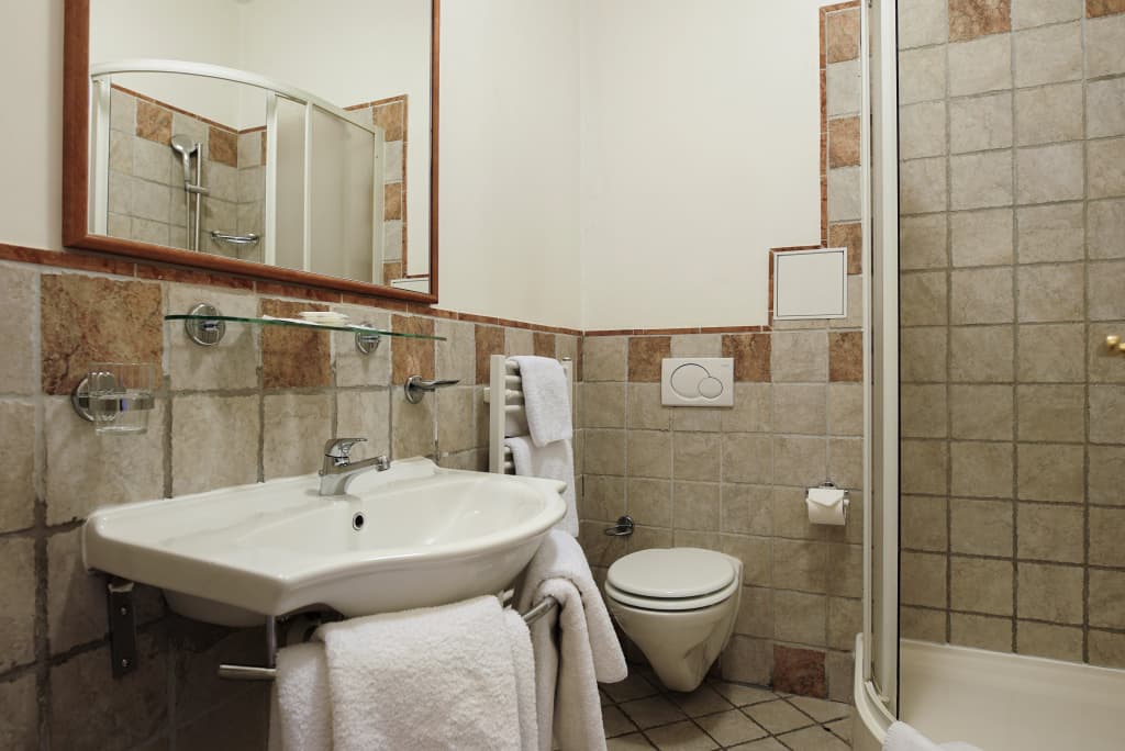 Hotel Tivoli Prague - photo 17