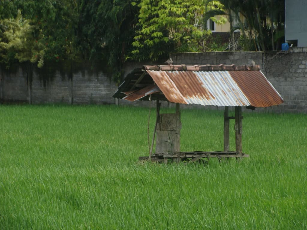 Bima Sakti Guest House - photo 15