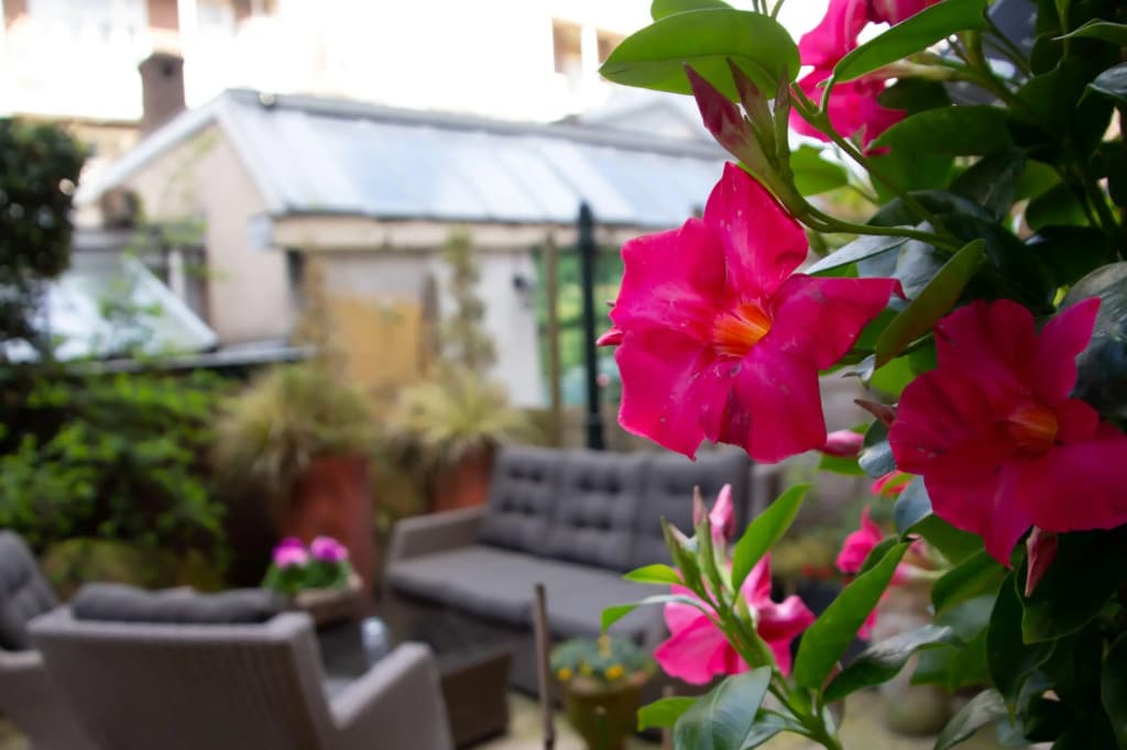 Hotel Jupiter - photo 22