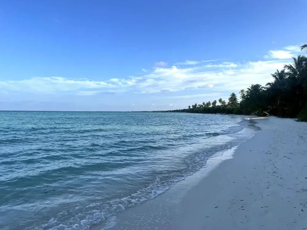 Calm Beach Inn - photo 14