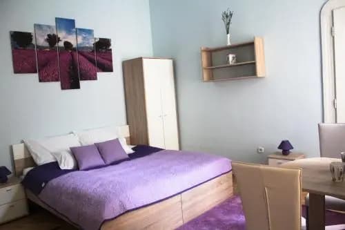 Little Hungary Apartment - photo 6