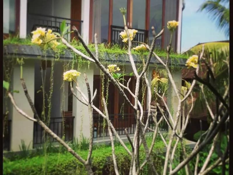 Nani House 2 - main photo