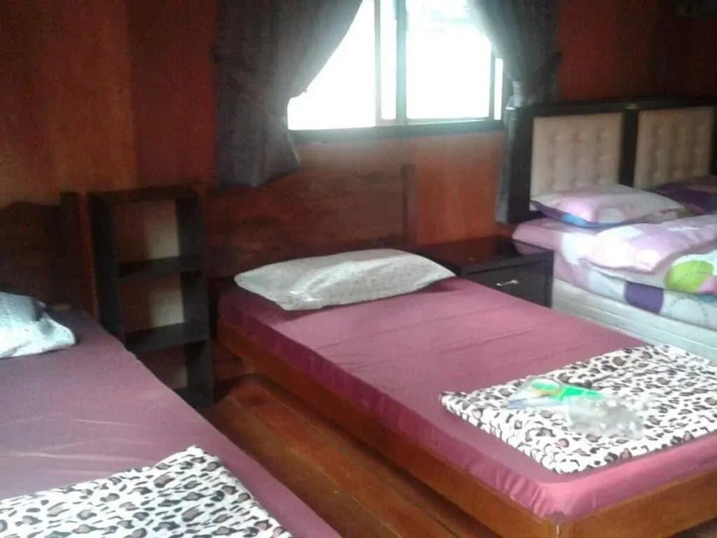 Janda Baik Resort - photo 3