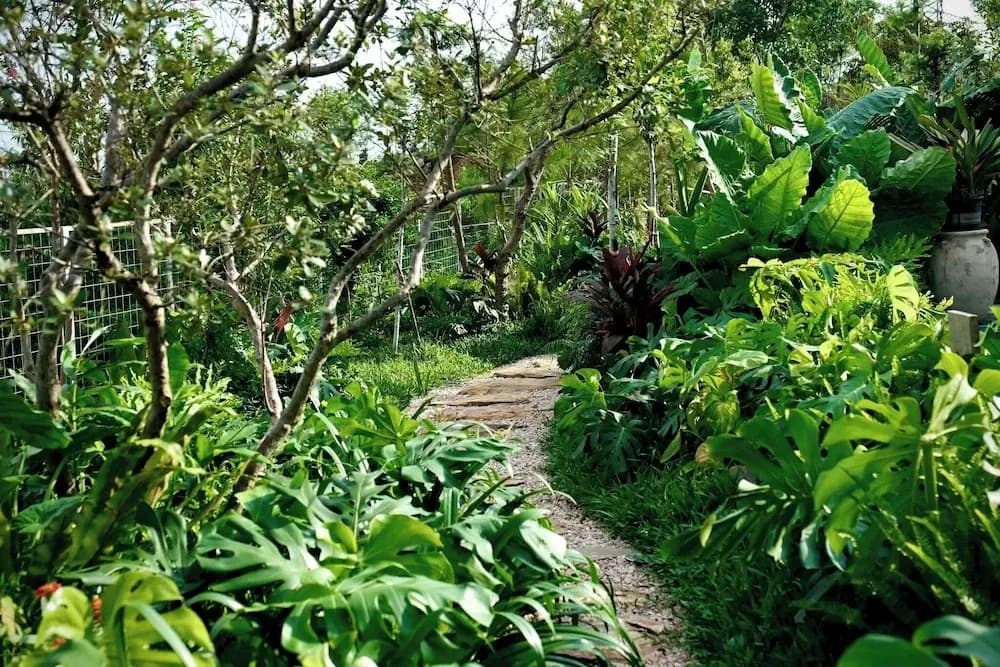 LeeHa Cottage Soc Sơn - photo 30