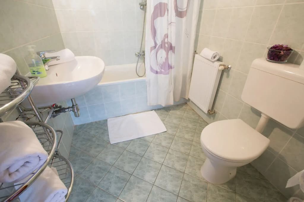 Helios Hotel Pension - photo 8